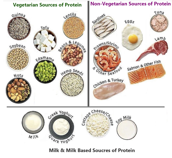 Good Sources of Vegetarian Protein and Non-Vegetarian Protein