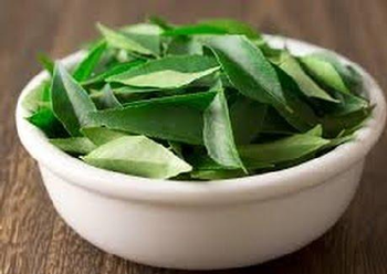 Benefits of Curry Leaves