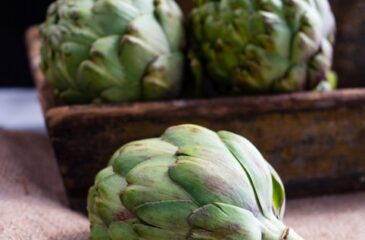 Artichoke gut health