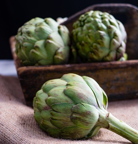 Artichoke gut health